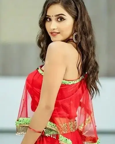 Escort In Rupnagar